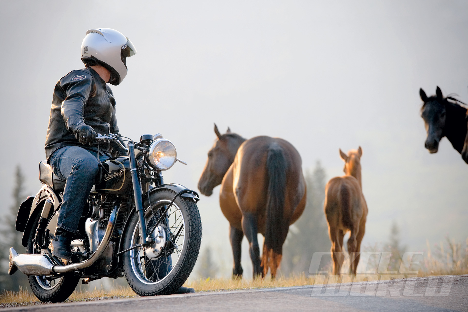 Never-Give-Up-Velocette-motorcycles-3